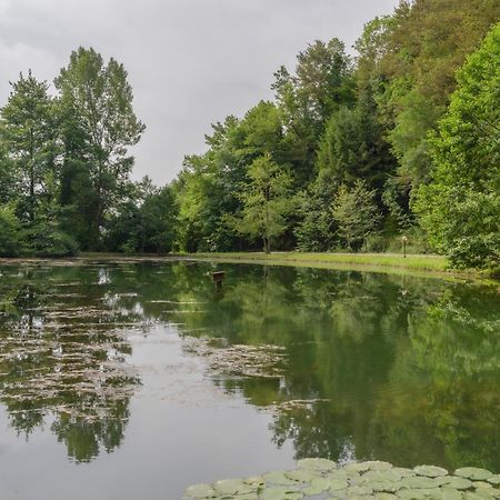 Ribnik Stari Trg Apartamento Lesicno Exterior foto