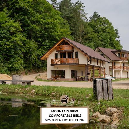 Ribnik Stari Trg Apartamento Lesicno Exterior foto