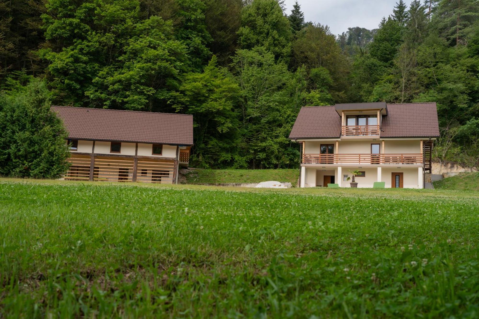 Ribnik Stari Trg Apartamento Lesicno Exterior foto